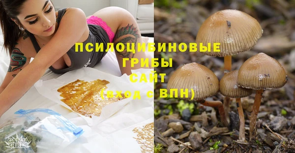 дживик Армянск