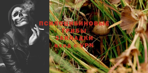 дживик Армянск